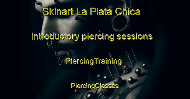 Skinart La Plata Chica introductory piercing sessions | #PiercingTraining #PiercingClasses #SkinartTraining-Argentina