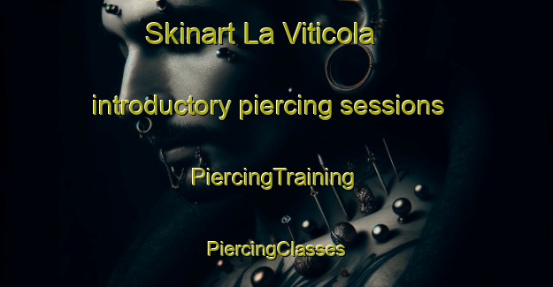 Skinart La Viticola introductory piercing sessions | #PiercingTraining #PiercingClasses #SkinartTraining-Argentina