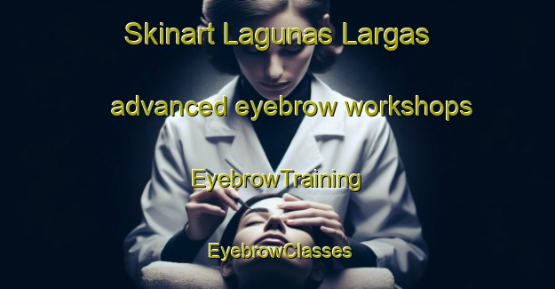 Skinart Lagunas Largas advanced eyebrow workshops | EyebrowTraining | EyebrowClasses | SkinartTraining-Argentina