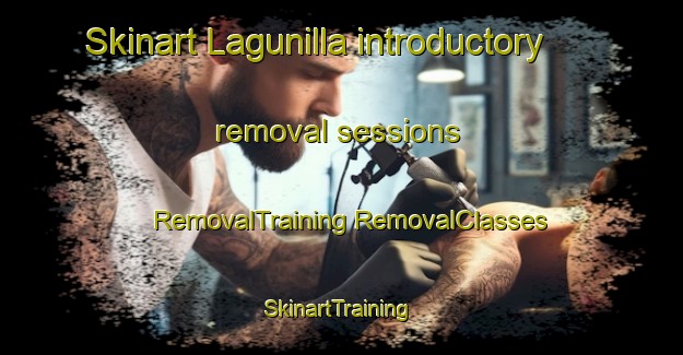 Skinart Lagunilla introductory removal sessions | #RemovalTraining #RemovalClasses #SkinartTraining-Argentina