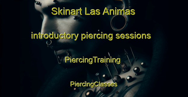 Skinart Las Animas introductory piercing sessions | #PiercingTraining #PiercingClasses #SkinartTraining-Argentina