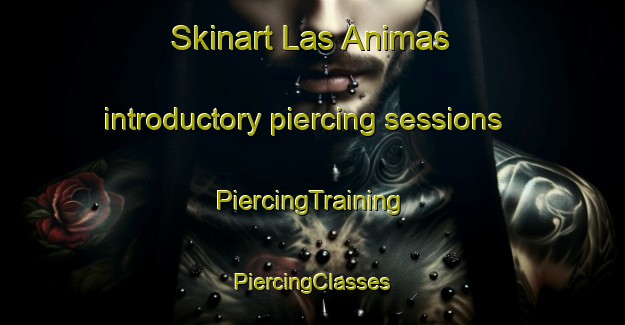 Skinart Las Animas introductory piercing sessions | #PiercingTraining #PiercingClasses #SkinartTraining-Argentina