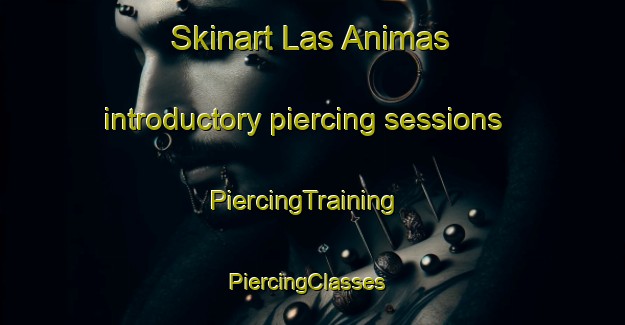 Skinart Las Animas introductory piercing sessions | PiercingTraining | PiercingClasses | SkinartTraining-Argentina