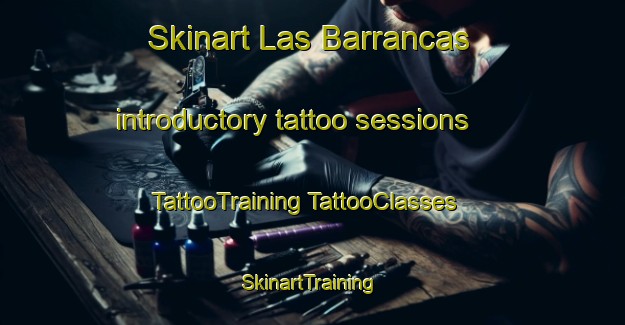 Skinart Las Barrancas introductory tattoo sessions | #TattooTraining #TattooClasses #SkinartTraining-Argentina