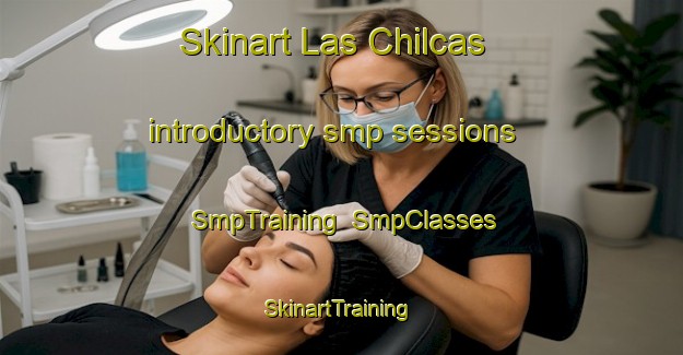 Skinart Las Chilcas introductory smp sessions | SmpTraining | SmpClasses | SkinartTraining-Argentina