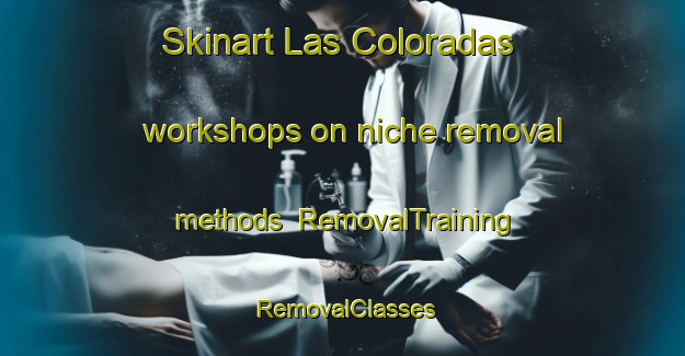 Skinart Las Coloradas workshops on niche removal methods | RemovalTraining | RemovalClasses | SkinartTraining-Argentina