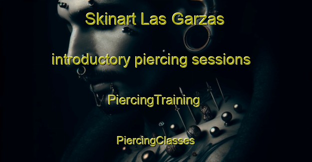 Skinart Las Garzas introductory piercing sessions | #PiercingTraining #PiercingClasses #SkinartTraining-Argentina