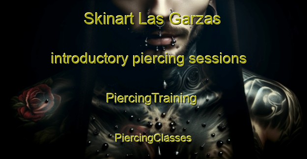 Skinart Las Garzas introductory piercing sessions | #PiercingTraining #PiercingClasses #SkinartTraining-Argentina