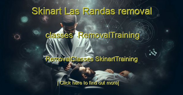 Skinart Las Randas removal classes | #RemovalTraining #RemovalClasses #SkinartTraining-Argentina