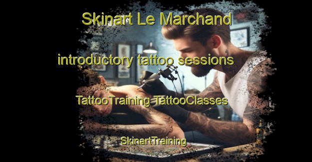 Skinart Le Marchand introductory tattoo sessions | #TattooTraining #TattooClasses #SkinartTraining-Argentina