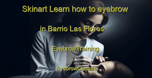 Skinart Learn how to eyebrow in Barrio Las Flores | EyebrowTraining | EyebrowClasses | SkinartTraining-Argentina