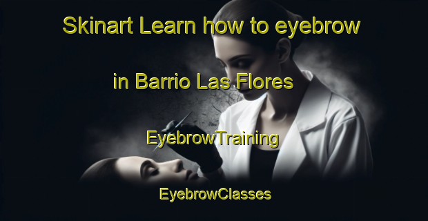 Skinart Learn how to eyebrow in Barrio Las Flores | EyebrowTraining | EyebrowClasses | SkinartTraining-Argentina