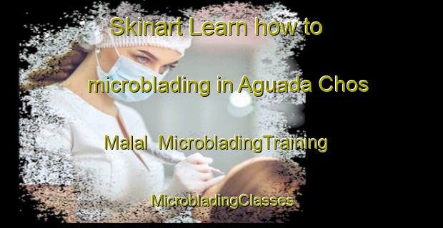 Skinart Learn how to microblading in Aguada Chos Malal | #MicrobladingTraining #MicrobladingClasses #SkinartTraining-Argentina