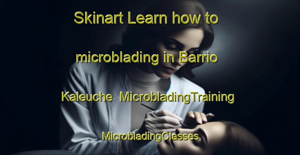 Skinart Learn how to microblading in Barrio Kaleuche | #MicrobladingTraining #MicrobladingClasses #SkinartTraining-Argentina