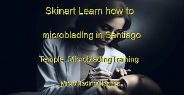 Skinart Learn how to microblading in Santiago Temple | MicrobladingTraining | MicrobladingClasses | SkinartTraining-Argentina