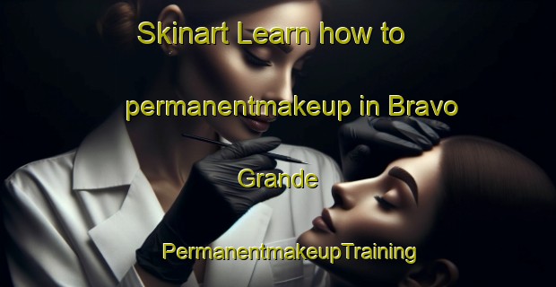 Skinart Learn how to permanentmakeup in Bravo Grande | #PermanentmakeupTraining #PermanentmakeupClasses #SkinartTraining-Argentina