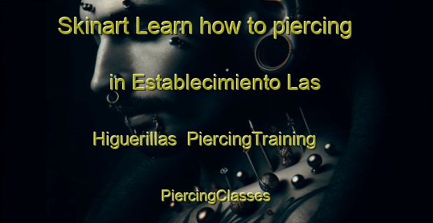 Skinart Learn how to piercing in Establecimiento Las Higuerillas | #PiercingTraining #PiercingClasses #SkinartTraining-Argentina