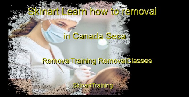 Skinart Learn how to removal in Canada Seca | #RemovalTraining #RemovalClasses #SkinartTraining-Argentina