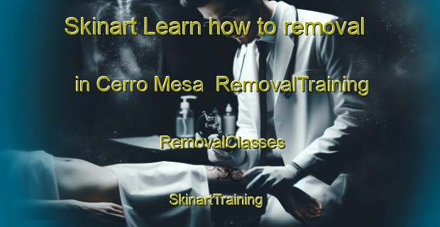 Skinart Learn how to removal in Cerro Mesa | RemovalTraining | RemovalClasses | SkinartTraining-Argentina