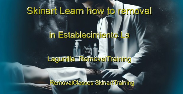 Skinart Learn how to removal in Establecimiento La Lagunilla | #RemovalTraining #RemovalClasses #SkinartTraining-Argentina