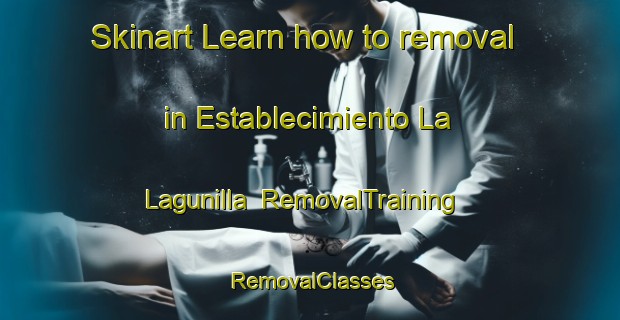 Skinart Learn how to removal in Establecimiento La Lagunilla | RemovalTraining | RemovalClasses | SkinartTraining-Argentina