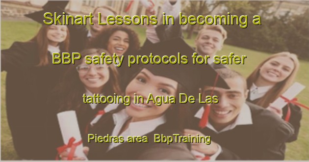 Skinart Lessons in becoming a BBP safety protocols for safer tattooing in Agua De Las Piedras area | BbpTraining | BbpClasses | SkinartTraining-Argentina