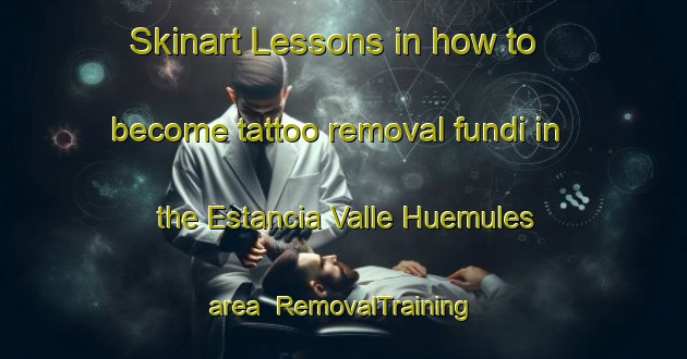 Skinart Lessons in how to become tattoo removal fundi in the Estancia Valle Huemules area | RemovalTraining | RemovalClasses | SkinartTraining-Argentina