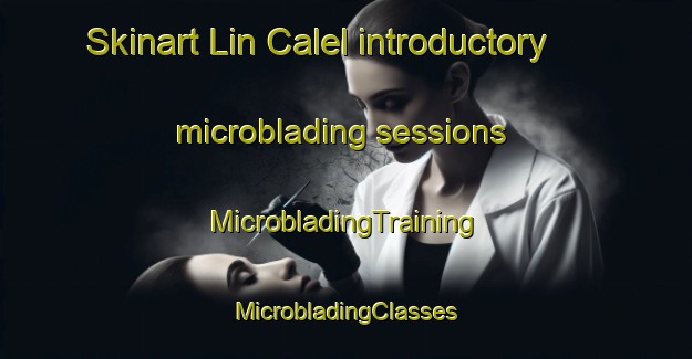 Skinart Lin Calel introductory microblading sessions | #MicrobladingTraining #MicrobladingClasses #SkinartTraining-Argentina