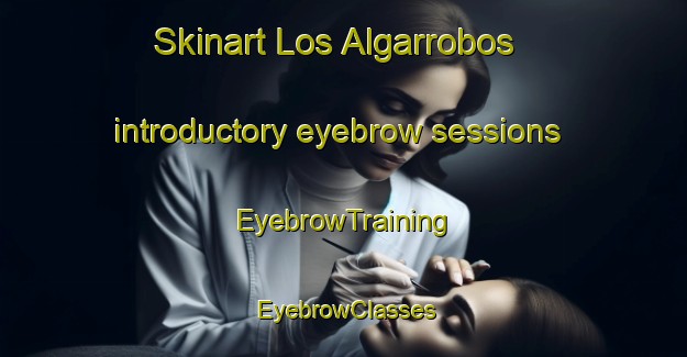 Skinart Los Algarrobos introductory eyebrow sessions | EyebrowTraining | EyebrowClasses | SkinartTraining-Argentina