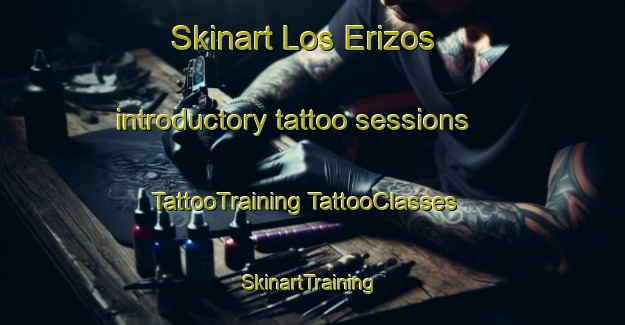 Skinart Los Erizos introductory tattoo sessions | #TattooTraining #TattooClasses #SkinartTraining-Argentina