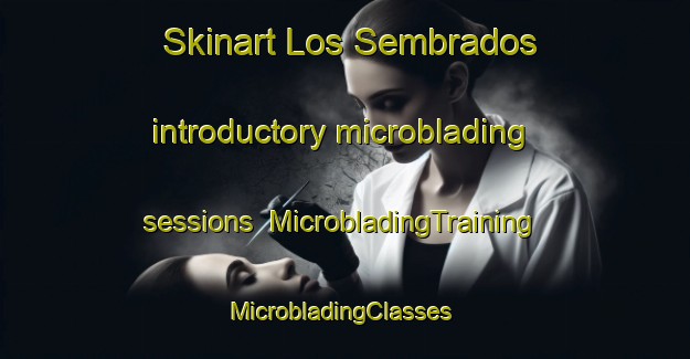 Skinart Los Sembrados introductory microblading sessions | MicrobladingTraining | MicrobladingClasses | SkinartTraining-Argentina