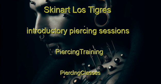 Skinart Los Tigres introductory piercing sessions | #PiercingTraining #PiercingClasses #SkinartTraining-Argentina