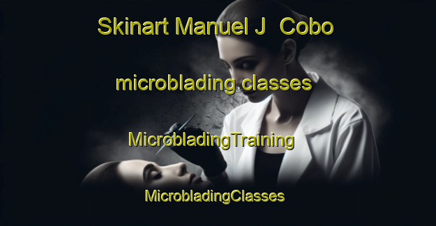 Skinart Manuel J  Cobo microblading classes | MicrobladingTraining | MicrobladingClasses | SkinartTraining-Argentina