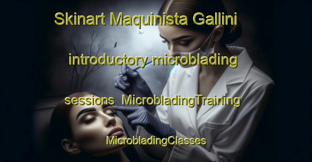 Skinart Maquinista Gallini introductory microblading sessions | #MicrobladingTraining #MicrobladingClasses #SkinartTraining-Argentina