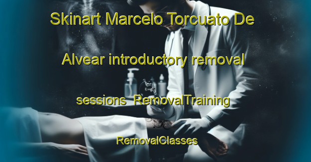 Skinart Marcelo Torcuato De Alvear introductory removal sessions | RemovalTraining | RemovalClasses | SkinartTraining-Argentina