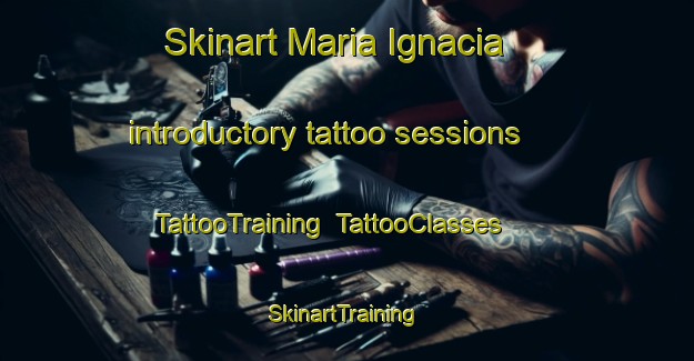 Skinart Maria Ignacia introductory tattoo sessions | TattooTraining | TattooClasses | SkinartTraining-Argentina