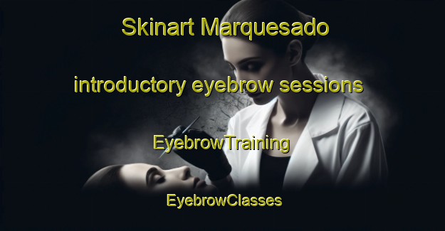Skinart Marquesado introductory eyebrow sessions | EyebrowTraining | EyebrowClasses | SkinartTraining-Argentina