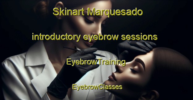 Skinart Marquesado introductory eyebrow sessions | EyebrowTraining | EyebrowClasses | SkinartTraining-Argentina