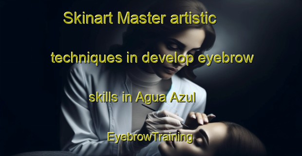 Skinart Master artistic techniques in develop eyebrow skills in Agua Azul | EyebrowTraining | EyebrowClasses | SkinartTraining-Argentina