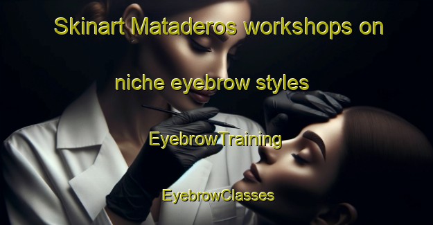 Skinart Mataderos workshops on niche eyebrow styles | EyebrowTraining | EyebrowClasses | SkinartTraining-Argentina