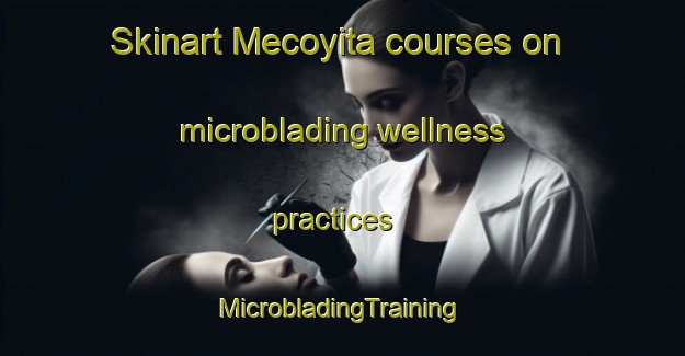 Skinart Mecoyita courses on microblading wellness practices | #MicrobladingTraining #MicrobladingClasses #SkinartTraining-Argentina