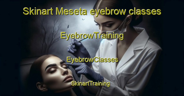 Skinart Meseta eyebrow classes | EyebrowTraining | EyebrowClasses | SkinartTraining-Argentina