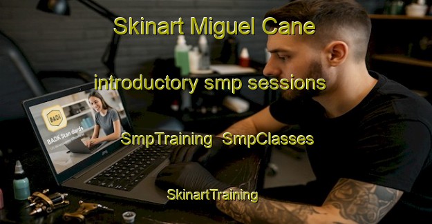 Skinart Miguel Cane introductory smp sessions | SmpTraining | SmpClasses | SkinartTraining-Argentina