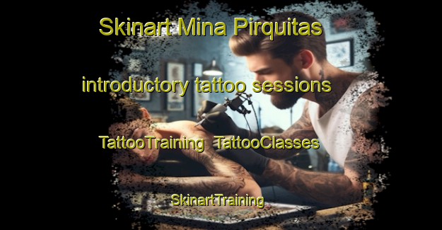 Skinart Mina Pirquitas introductory tattoo sessions | TattooTraining | TattooClasses | SkinartTraining-Argentina