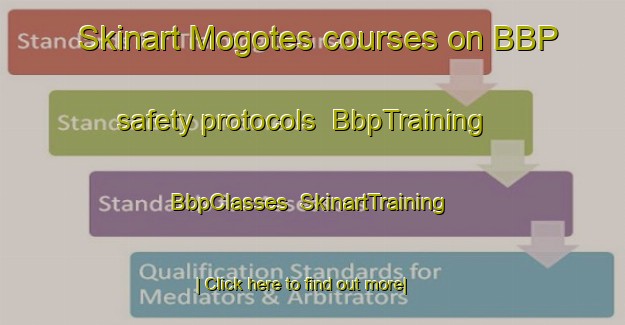 Skinart Mogotes courses on BBP safety protocols | BbpTraining | BbpClasses | SkinartTraining-Argentina