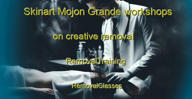 Skinart Mojon Grande workshops on creative removal | RemovalTraining | RemovalClasses | SkinartTraining-Argentina
