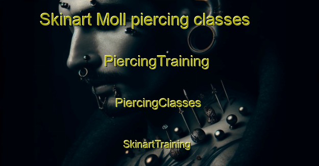 Skinart Moll piercing classes | #PiercingTraining #PiercingClasses #SkinartTraining-Argentina