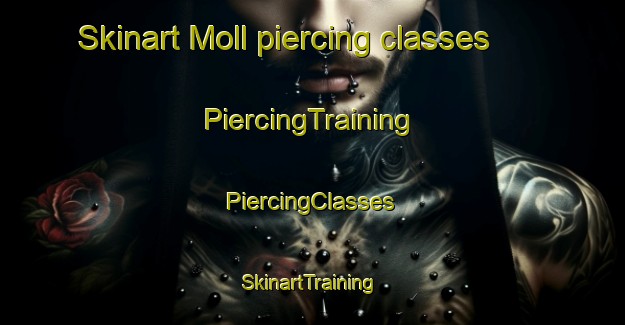 Skinart Moll piercing classes | #PiercingTraining #PiercingClasses #SkinartTraining-Argentina