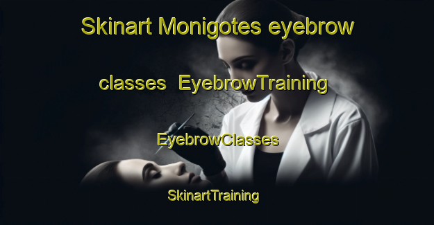 Skinart Monigotes eyebrow classes | EyebrowTraining | EyebrowClasses | SkinartTraining-Argentina
