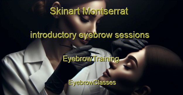 Skinart Montserrat introductory eyebrow sessions | EyebrowTraining | EyebrowClasses | SkinartTraining-Argentina